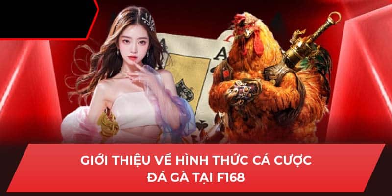 Giới thiệu về hình thức cá cược đá gà tại F168