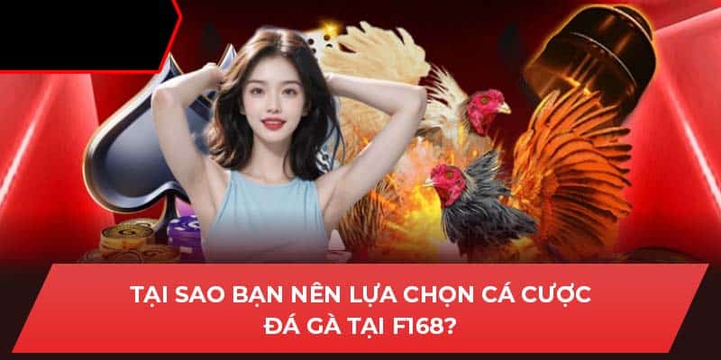 Tại sao bạn nên lựa chọn cá cược đá gà tại F168?